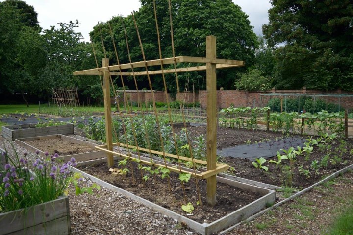 FE Kitchen garden